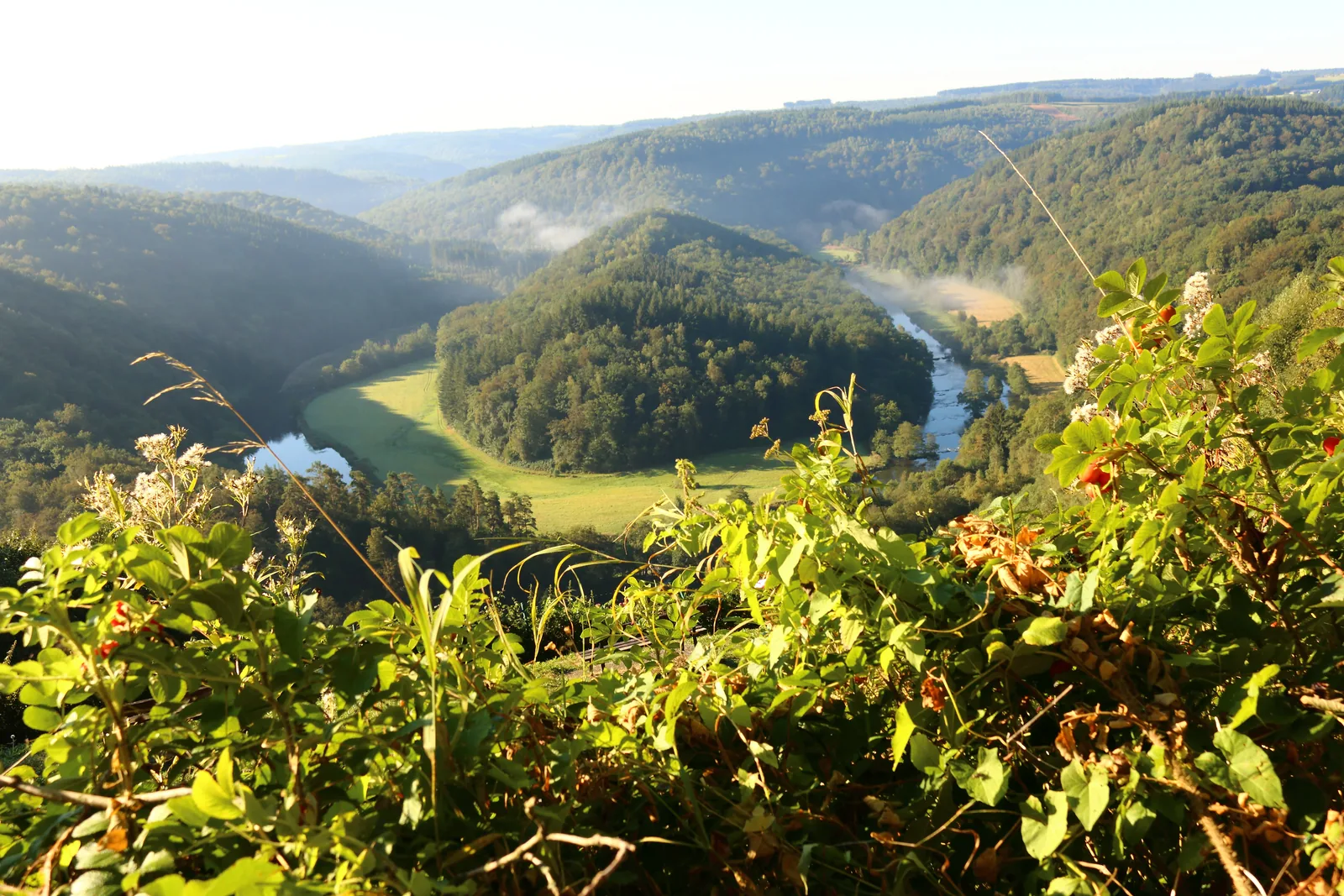 Le méandre de la Semois autour du Tombeau du Géant, vu depuis Botassart.