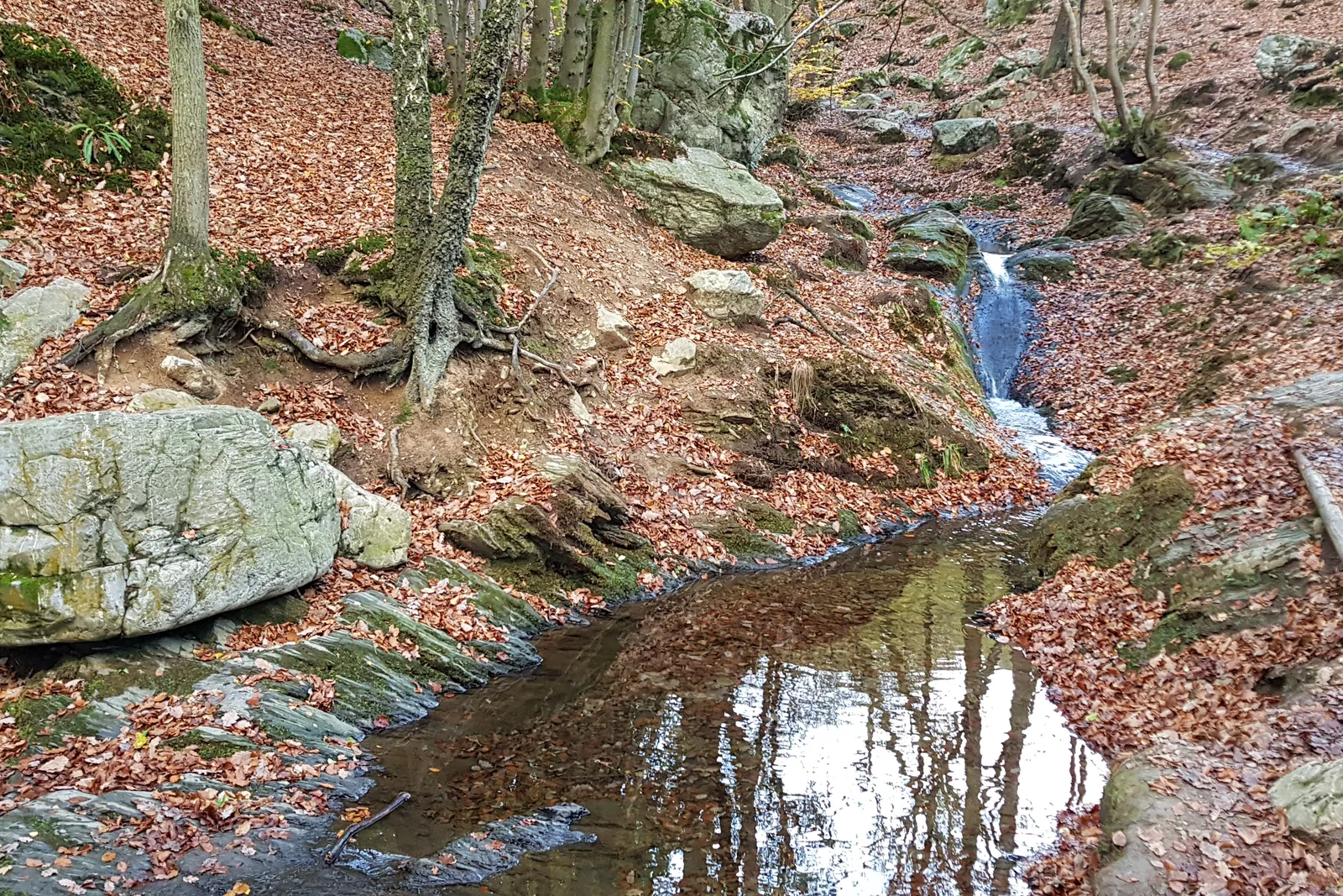 Les eaux vives du Ninglinspo entre les rochers, en forêt ardennaise.