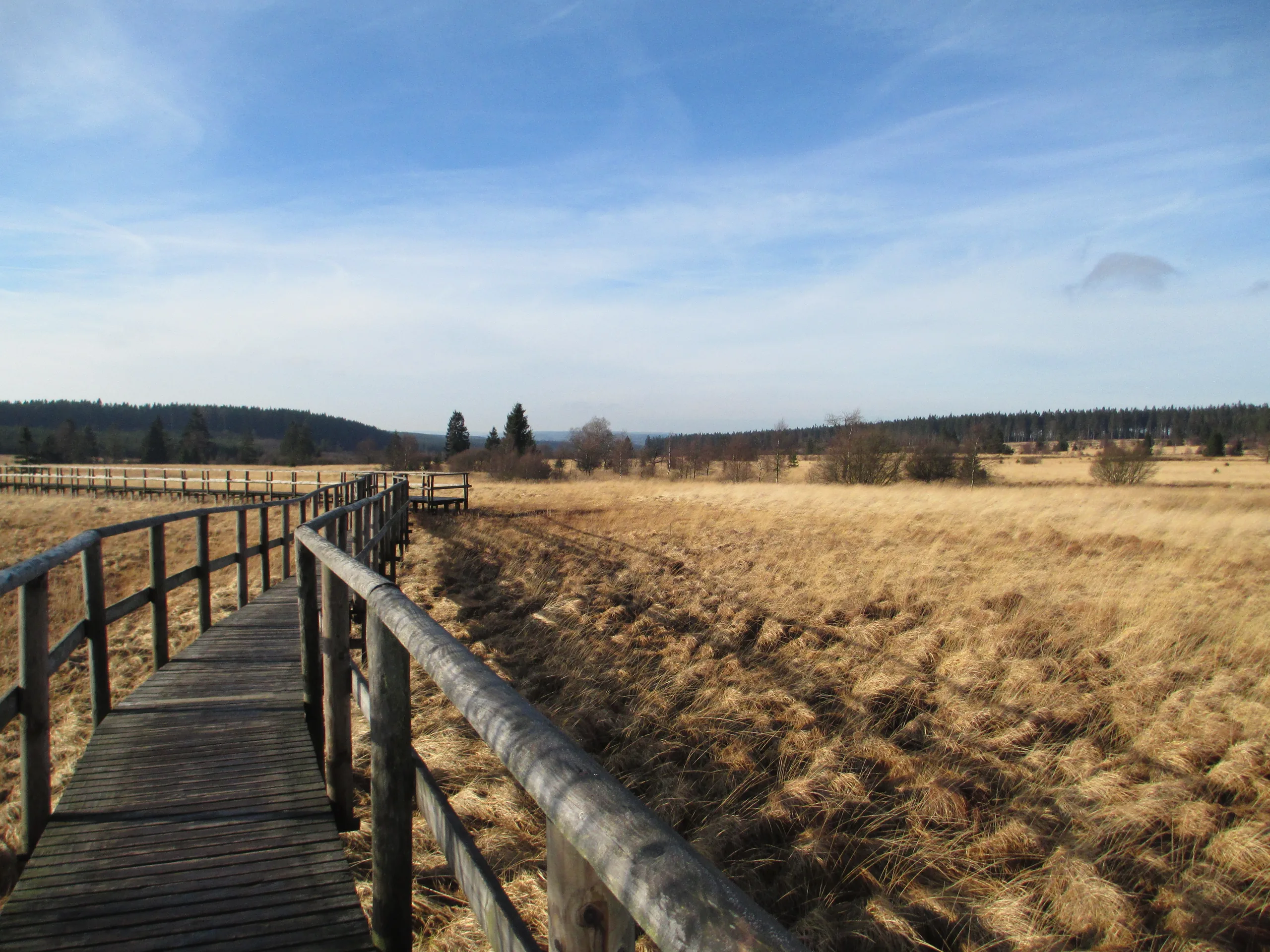 Passerelle de bois traversant la Fagne de la Poleûr, dans les Hautes Fagnes.