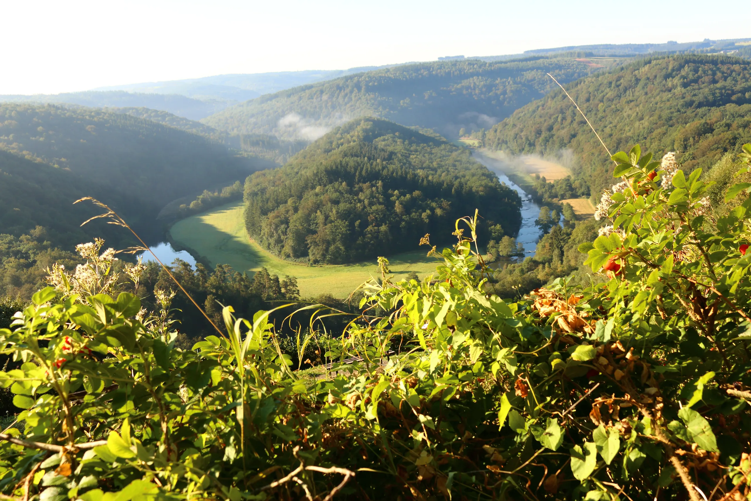 Vue ensoleillée sur le Tombeau du Géant et la vallée de la Semois.