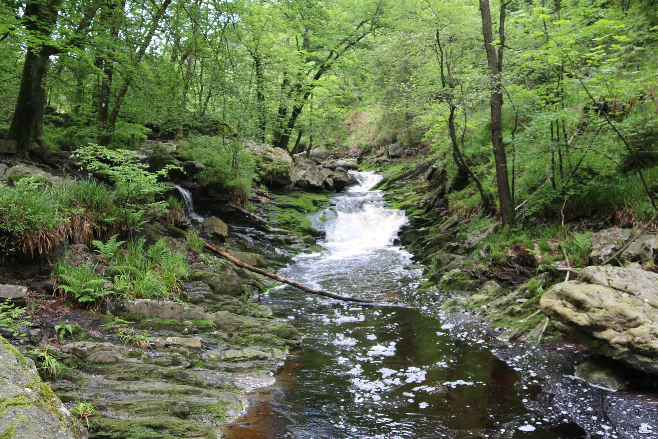 Cascade et ruisseau dans la vallée boisée de la Hoëgne.